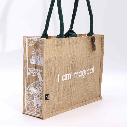 MAGICAL BAG 1